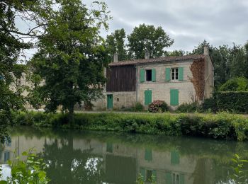 Tour Wandern Coulon - Magné/Coulon - Sèvre et légendes - Photo