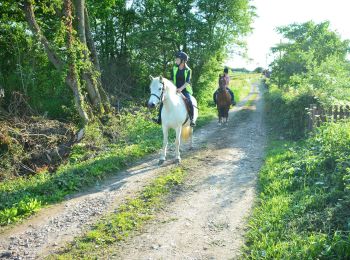 Percorso A piedi Somerset West and Taunton - Herepath Trail - Castle Neroche - Photo