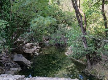 Excursión Senderismo Auriol - Les Encanaux, Auriol-05-06-24 - Photo