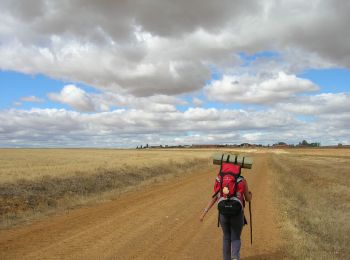 Excursión A pie Calzada del Coto - Camino Francés (rutas alternativas) - Photo