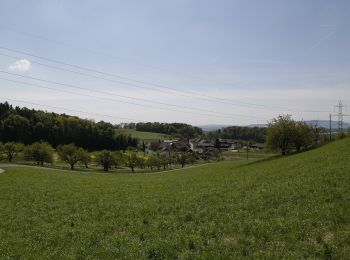 Tour Zu Fuß Embrach - Embrach Oberdorf - Tössegg Schiffsteg - Photo