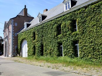 Excursión Senderismo Hannut - La balade des chevées (5km) - Photo
