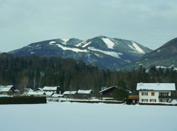 Randonnée A pied Bad Ischl - Wanderweg 4 Hoferriedlweg - Photo