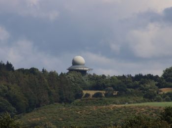 Trail On foot Ascheffel - Wanderroute 7: Tanne, Brekendorfer Forst - Photo