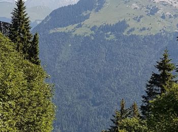 Percorso Marcia Samoëns - Lac de Gers - Photo