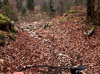 Tour Mountainbike Les Déserts - VTT La Féclaz 25km - Photo