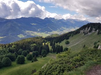 Tour Mountainbike Lans-en-Vercors - Lans - Charande - La Molière par les crêtes  - Photo