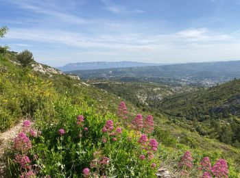 Tour Wandern Roquevaire -  13 ROQUEVAIRE Col et Mont des Marseillais - Photo