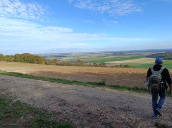 Randonnée Marche Torvilliers - Bucey 29102024RE - Photo