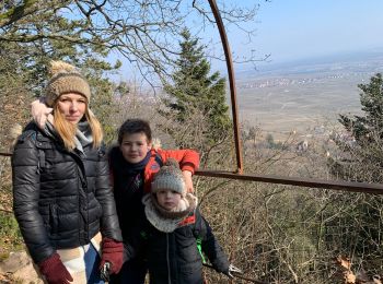 Randonnée Marche Pfaffenheim - Schauenberg kukuckstein - Photo