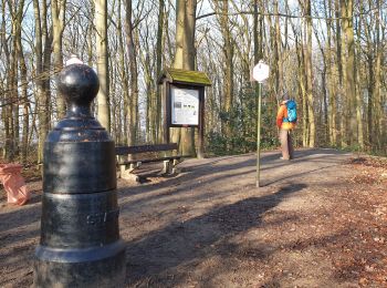 Randonnée Marche Braine-le-Comte - Balade dans la Bois de la Houssière - Henripont - Photo