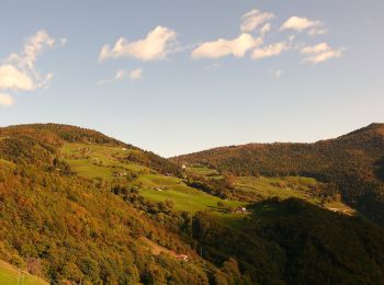 Excursión A pie Pisogne - Pontasio - Passabocche - Photo