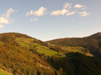 Tour Zu Fuß Pisogne - Pontasio - Passabocche - Photo