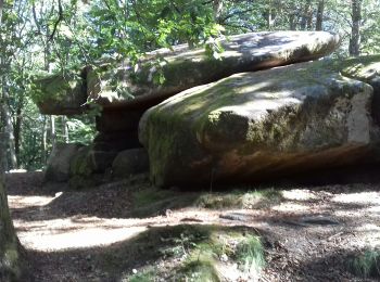 Excursión Senderismo Saint-Brisson - SAINT-BRISSON (9/20) - Photo