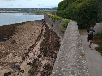 Randonnée Marche Saint-Vaast-la-Hougue - tour de la hougue - Photo