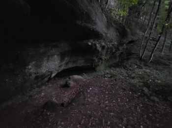 Tour Wandern Sankt Johann bei Zabern - circuit, St Michel, château warthenberg - Photo