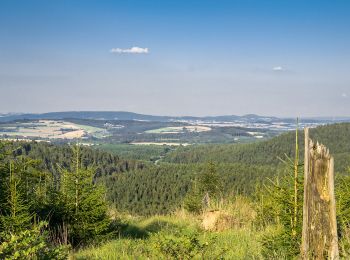 Randonnée A pied Horn-Bad Meinberg - Rundwanderweg A5 [Horn] - Photo