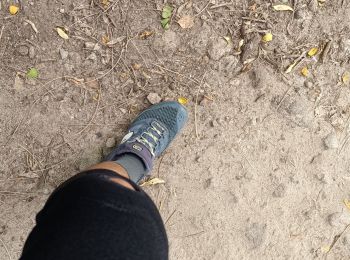 Tocht Stappen Sainte-Luce - Plage de Ste Luce, parcours santé  - Photo