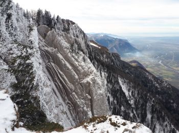 Percorso Racchette da neve Autrans-Méaudre en Vercors - Bec de l'orient en circuit - Photo