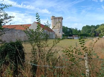 Tocht Stappen Crouy-sur-Ourcq - Crouy et le Clignon - Photo