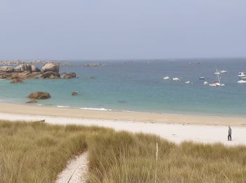 Excursión Senderismo Plounéour-Brignogan-Plages - Brignogan - Guissény - Photo