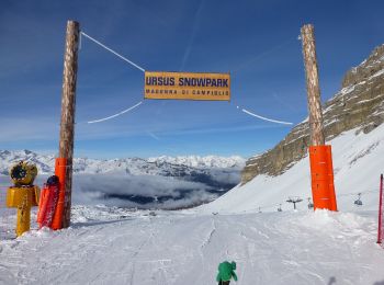 Tour Zu Fuß Ville d'Anaunia - Via ferrata delle Palete - Photo