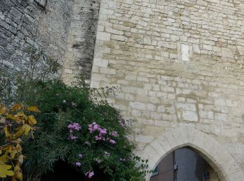 Percorso A piedi Saint-Mitre-les-Remparts - Du Crépon aux Rocalèdes - Photo