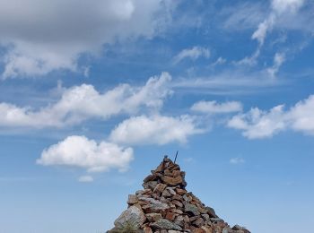 Tocht Stappen Cazaux-Fréchet-Anéran-Camors - Pic du Lion par le vallon de Balencous - Photo