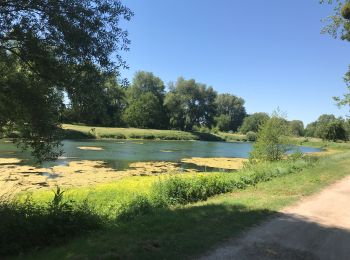 Tour Mountainbike Saint-Jean-de-la-Ruelle - Orleans-Meung-sur-Loire -39.2km-2h30 - Photo