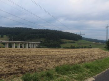 Percorso A piedi Knüllwald - Waldwunderweg - Photo