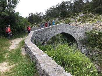 Excursión Senderismo La Bastide - La bastide-Bargème (A/R) - Photo