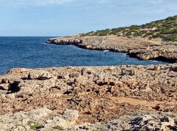 Randonnée Marche Sant Llorenç des Cardassar - castel de la punta de n'amer  - Photo