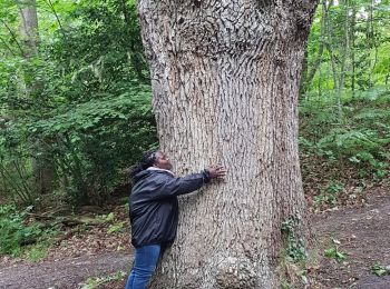 Trail Walking Méry-sur-Oise - J Auvers MeryMeriel - Photo