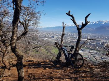 Tocht Mountainbike Seyssins - Le Tour des Rochers de Comboire - Photo