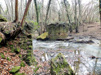 Tour Zu Fuß Canale Monterano - IT-264 - Photo