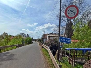 Tour Zu Fuß Hasenhof - [Ž] Strašice - Svatá Dobrotivá - Photo