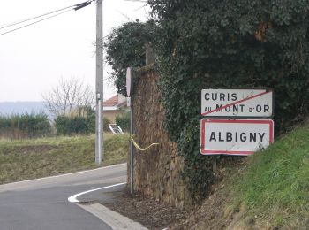 Tocht Te voet Saint-Germain-au-Mont-d'Or - Grand Tour des Monts d'Or - Photo