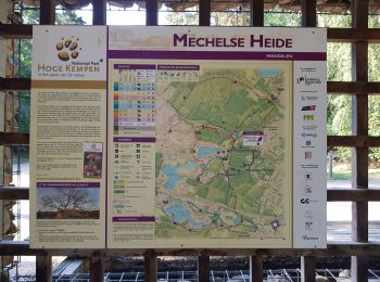 Randonnée Marche Maasmechelen - Mechelse Heide - Photo