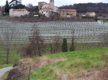 Tour Wandern Saint-Félicien - bosas - Photo