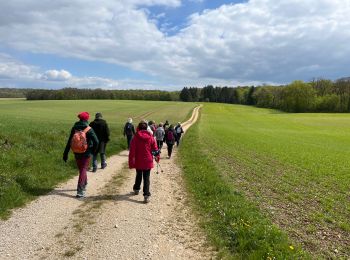 Trail Walking Laville-aux-Bois - Laville aux bois - Photo