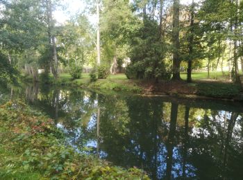 Tour Wandern Brunoy - Le Réveillon à l'Abbaye  - Photo