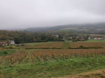 Excursión Senderismo Dormans - RP51-05 Dormans à Château-Thierry - Photo