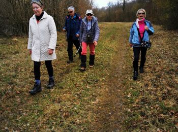 Tocht Stappen Montauville - La Croix Charbonnière - Photo