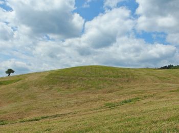 Tour Zu Fuß okres Považská Bystrica - Náučný chodník 