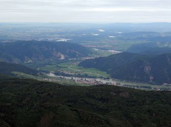 Trail On foot Gemeinde Weinzierl am Walde - Wolfenreith-Mühldorf - Photo