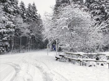 Randonnée Marche Bullange - La vallée perdue - Rocherath - Photo