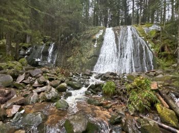 Tour Wandern Vagney - Cascade de la Pissoire - Haut du Tôt  - Photo