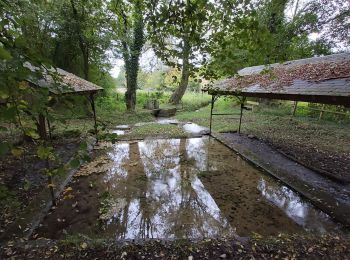 Tour Wandern Valorbiquet - St Cyr du Ronceray-Tordouet-St Martin de Bienfaite-Cernay - Photo