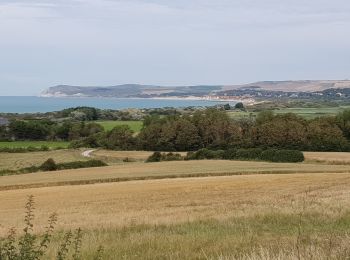 Randonnée A pied Audinghen - circuit du cap gris nez à Wissant - Photo