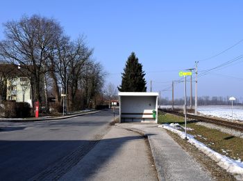 Randonnée A pied Bad Wimsbach-Neydharting - Natur Pur - Photo